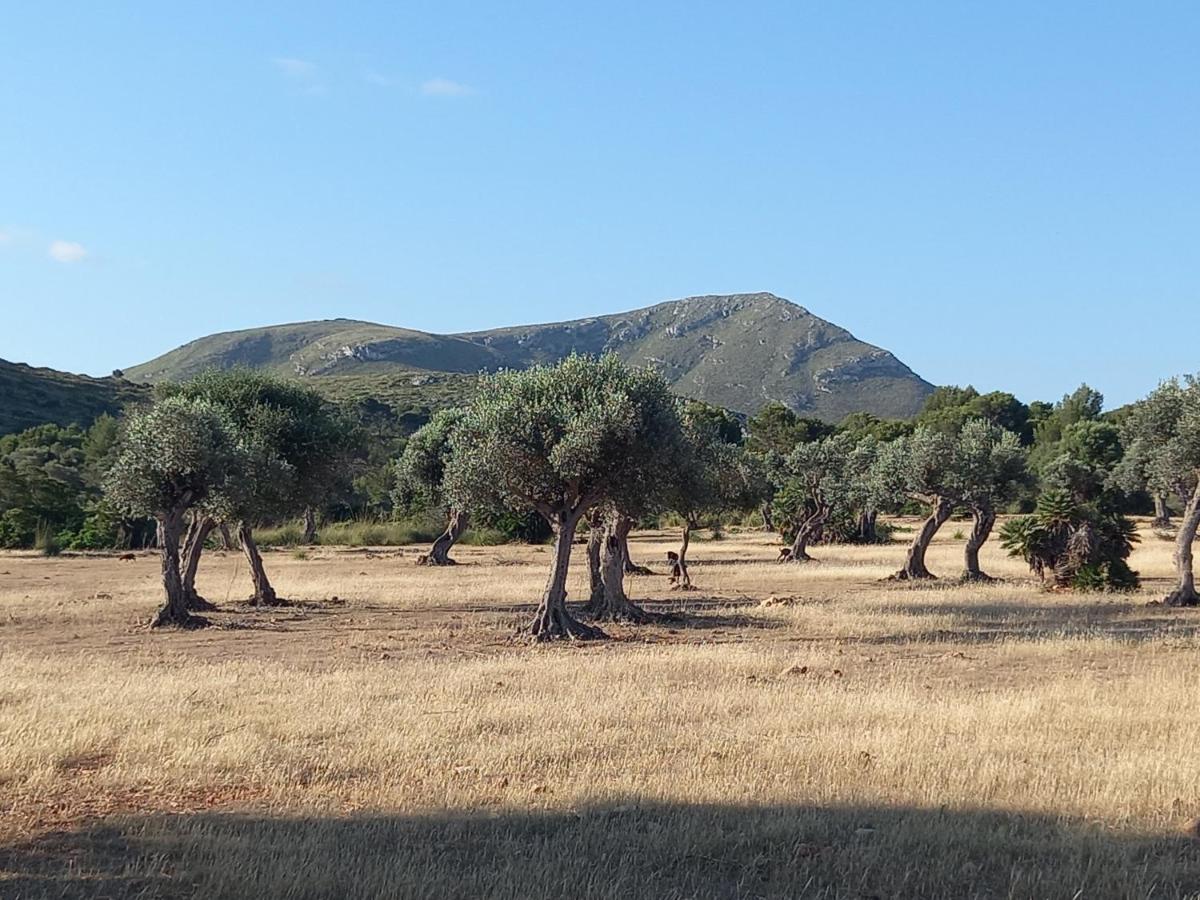 Апартаменты El Nido De Betlem Колонья-де-Сан-Педро Экстерьер фото